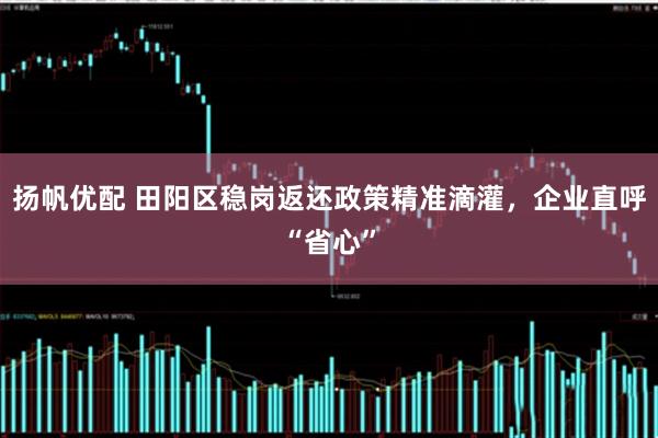 扬帆优配 田阳区稳岗返还政策精准滴灌，企业直呼“省心”