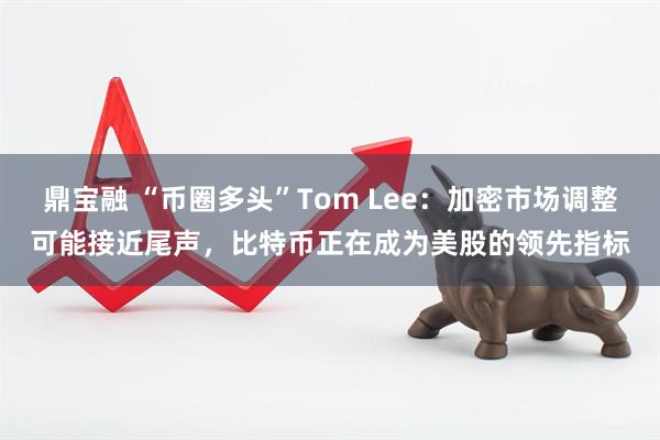 鼎宝融 “币圈多头”Tom Lee：加密市场调整可能接近尾声，比特币正在成为美股的领先指标