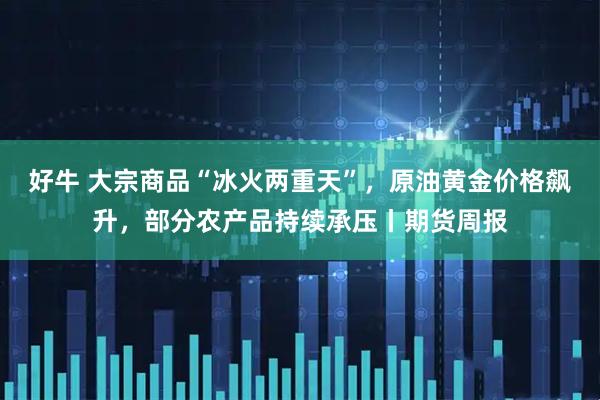 好牛 大宗商品“冰火两重天”，原油黄金价格飙升，部分农产品持续承压丨期货周报