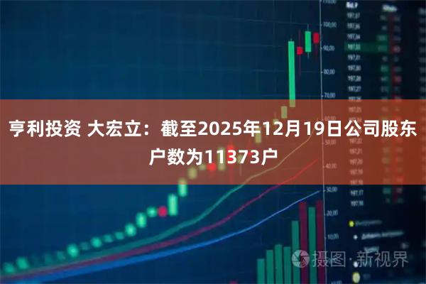 亨利投资 大宏立：截至2025年12月19日公司股东户数为11373户