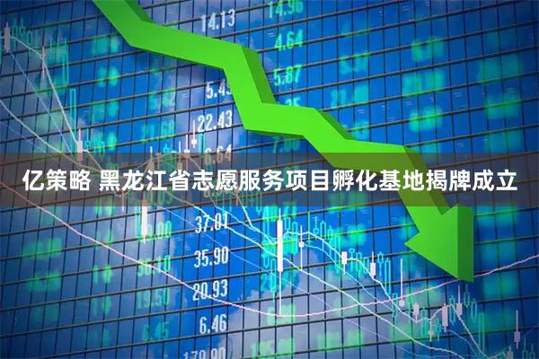 亿策略 黑龙江省志愿服务项目孵化基地揭牌成立