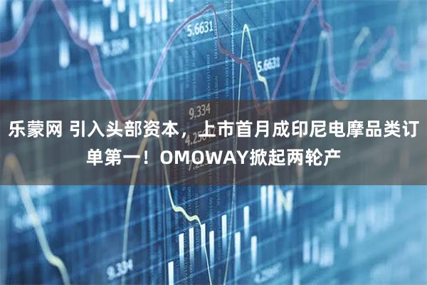 乐蒙网 引入头部资本，上市首月成印尼电摩品类订单第一！OMOWAY掀起两轮产